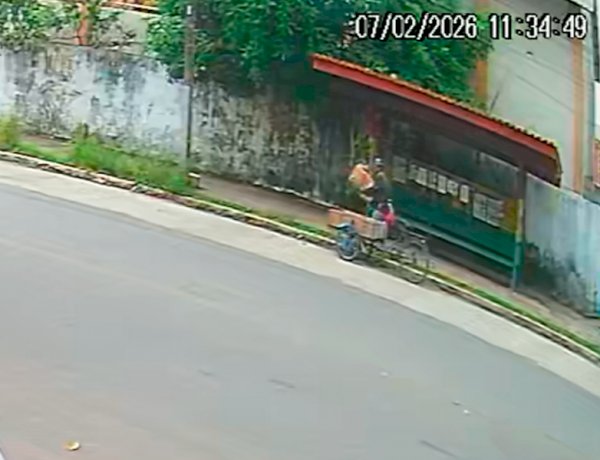 Homem abandona quatro filhotes de cachorro em parada de ônibus no Centro e foge